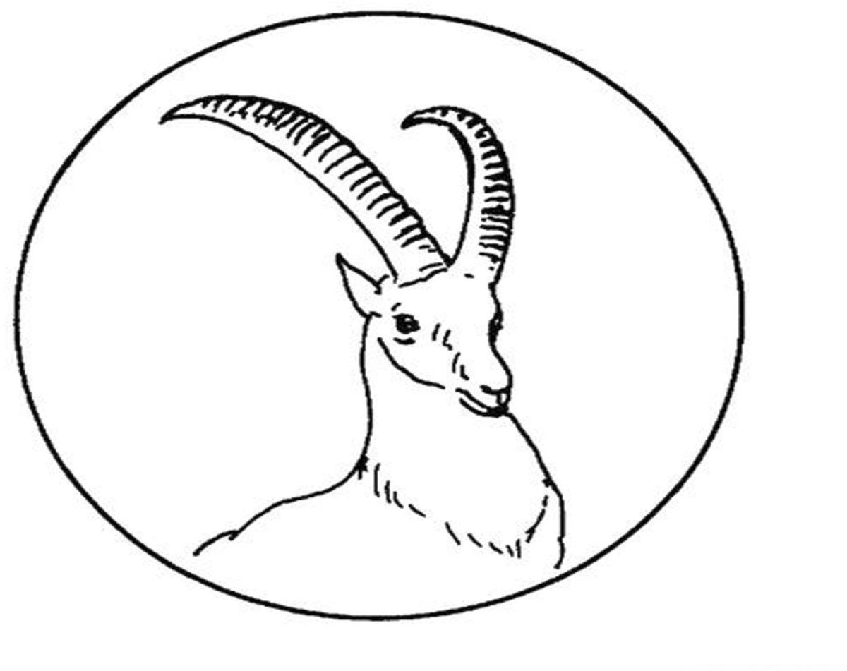 Антилопа раскраска