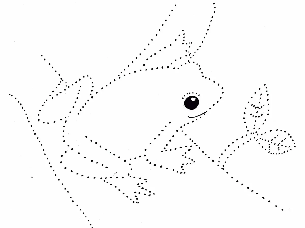 Рисование по точкам