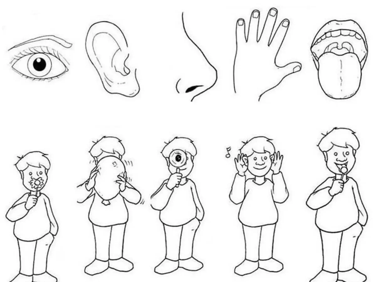 Одежда задания для детей