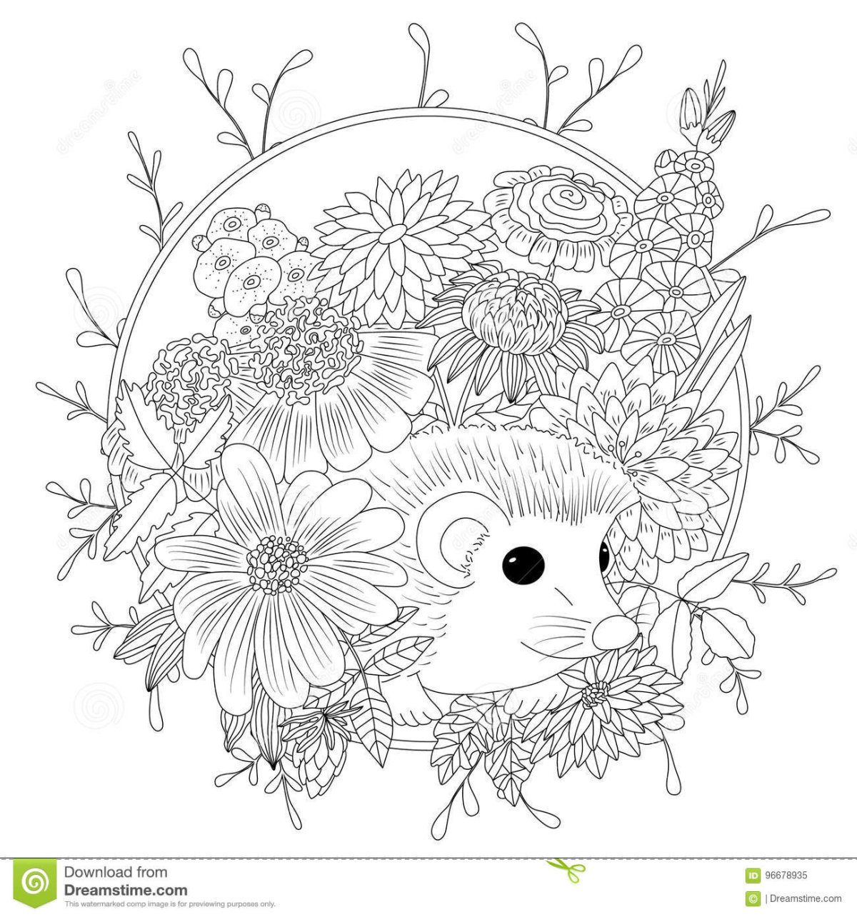 Ежик Мандала