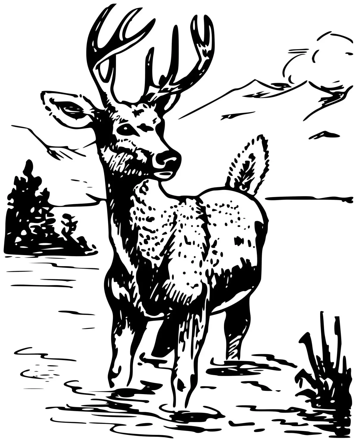 Мотивы севера для выжигания детям