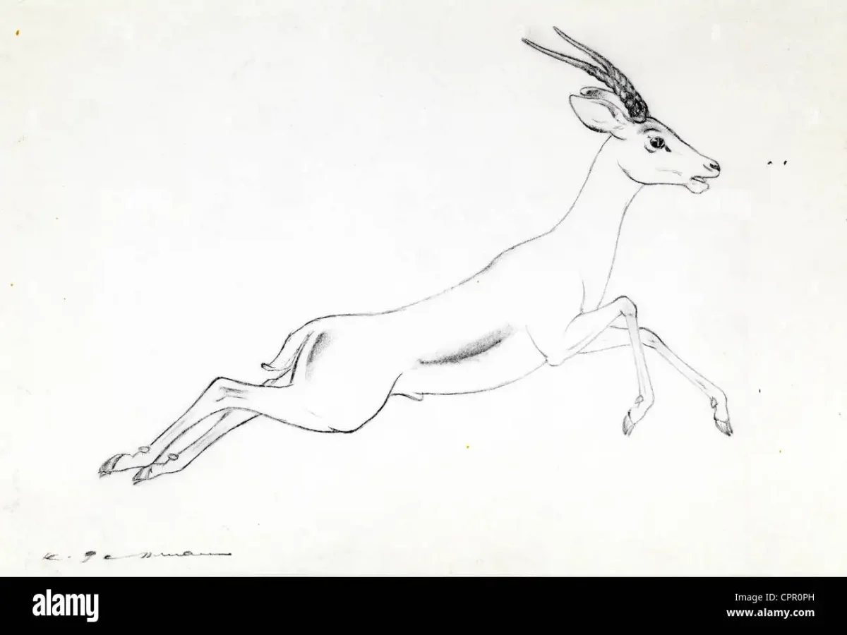 Газель животное рисунок