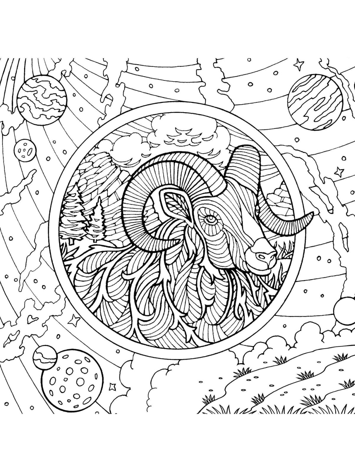 Звездное небораксраска