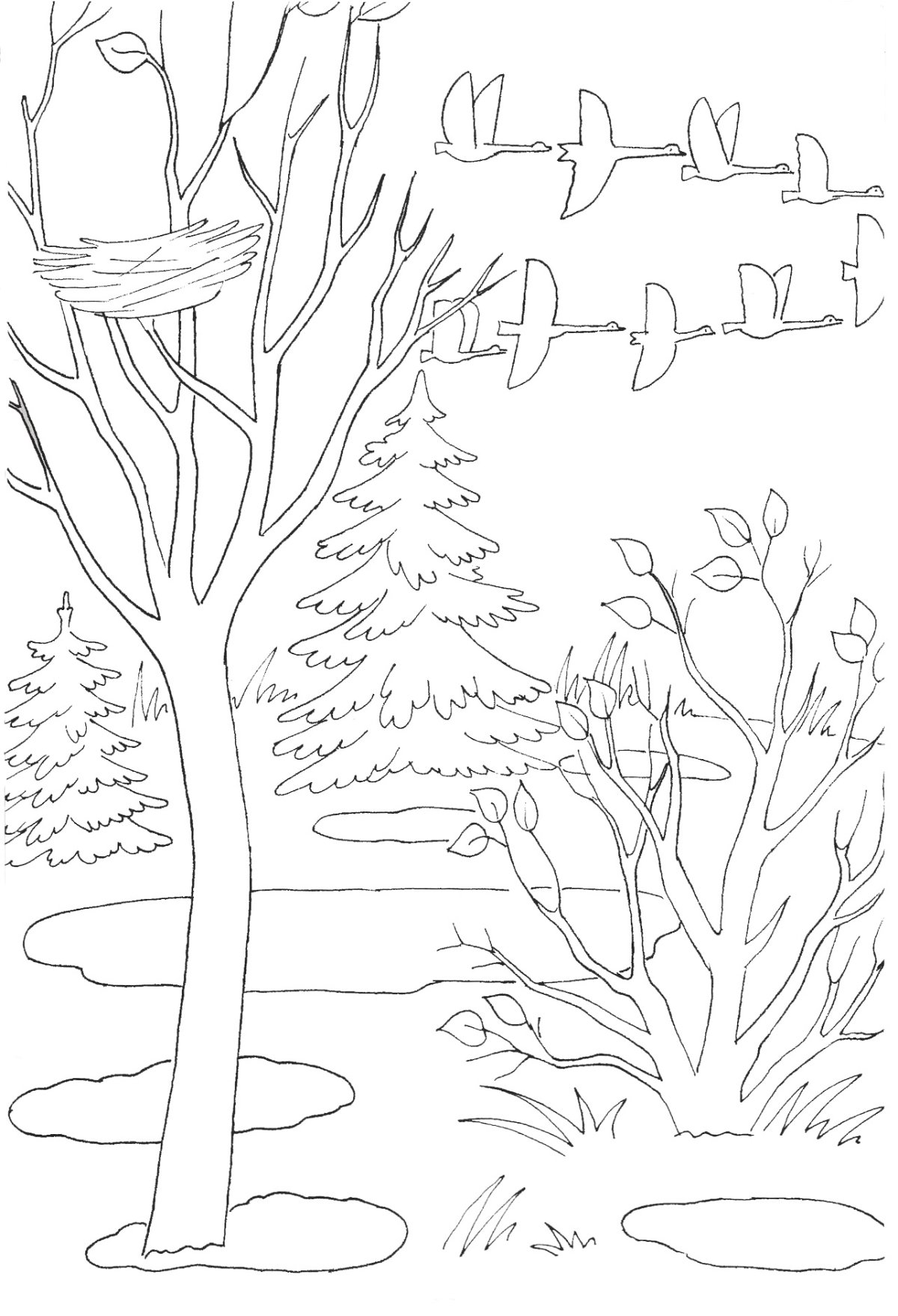 Пейзаж раскраска для детей