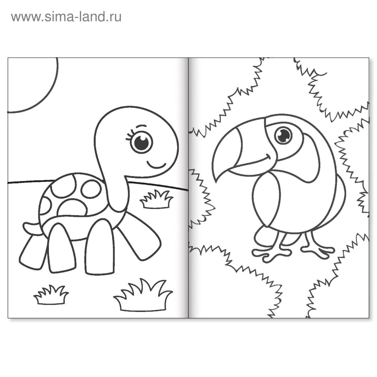 Страус раскраска для детей