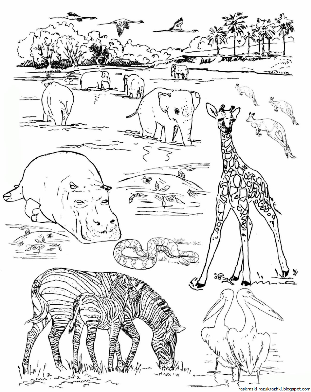 Раскраска Африка