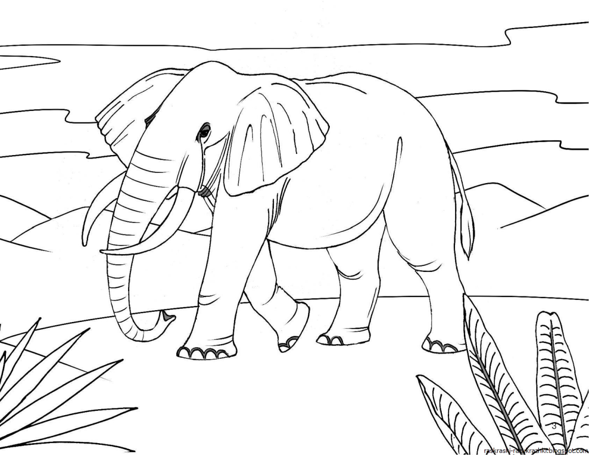 Страус раскраска для детей по точкам