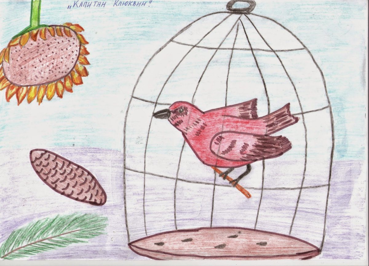 Про птицу Клест детям