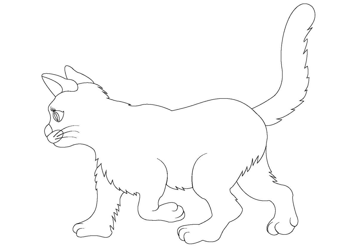 Кошка Мари раскраска