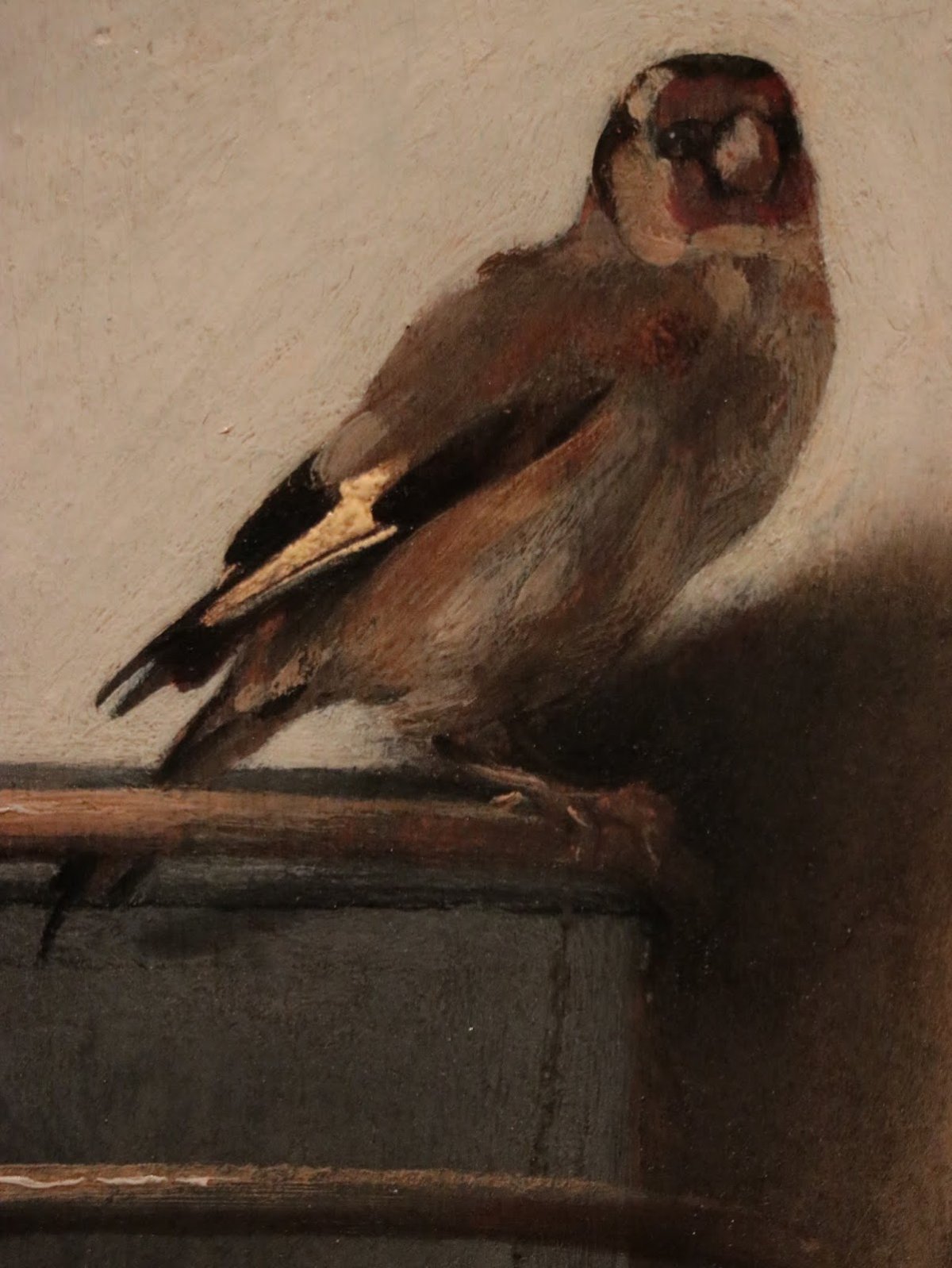 Перелётные птицы картинки раскраски