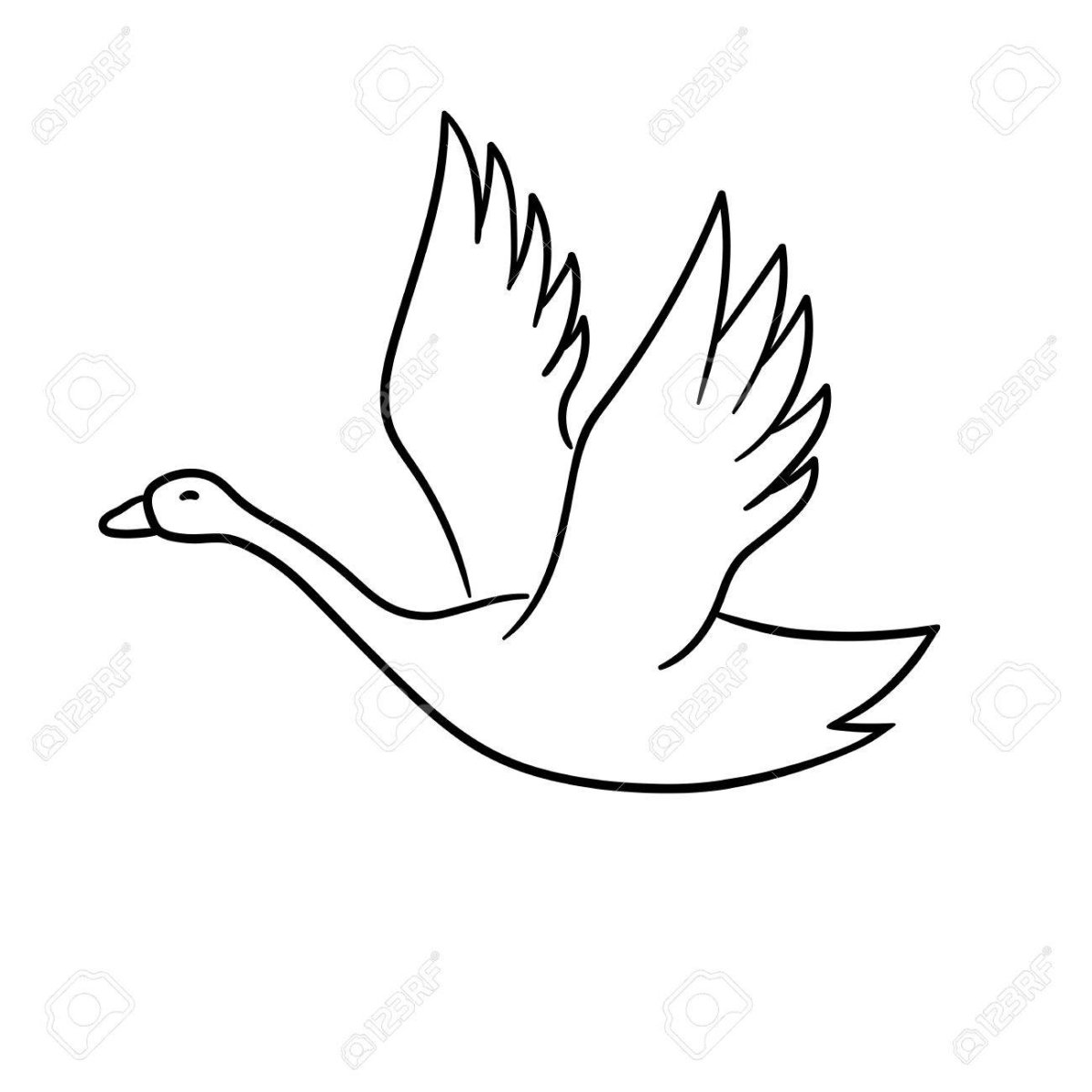 Нарисовать летящего лебедя