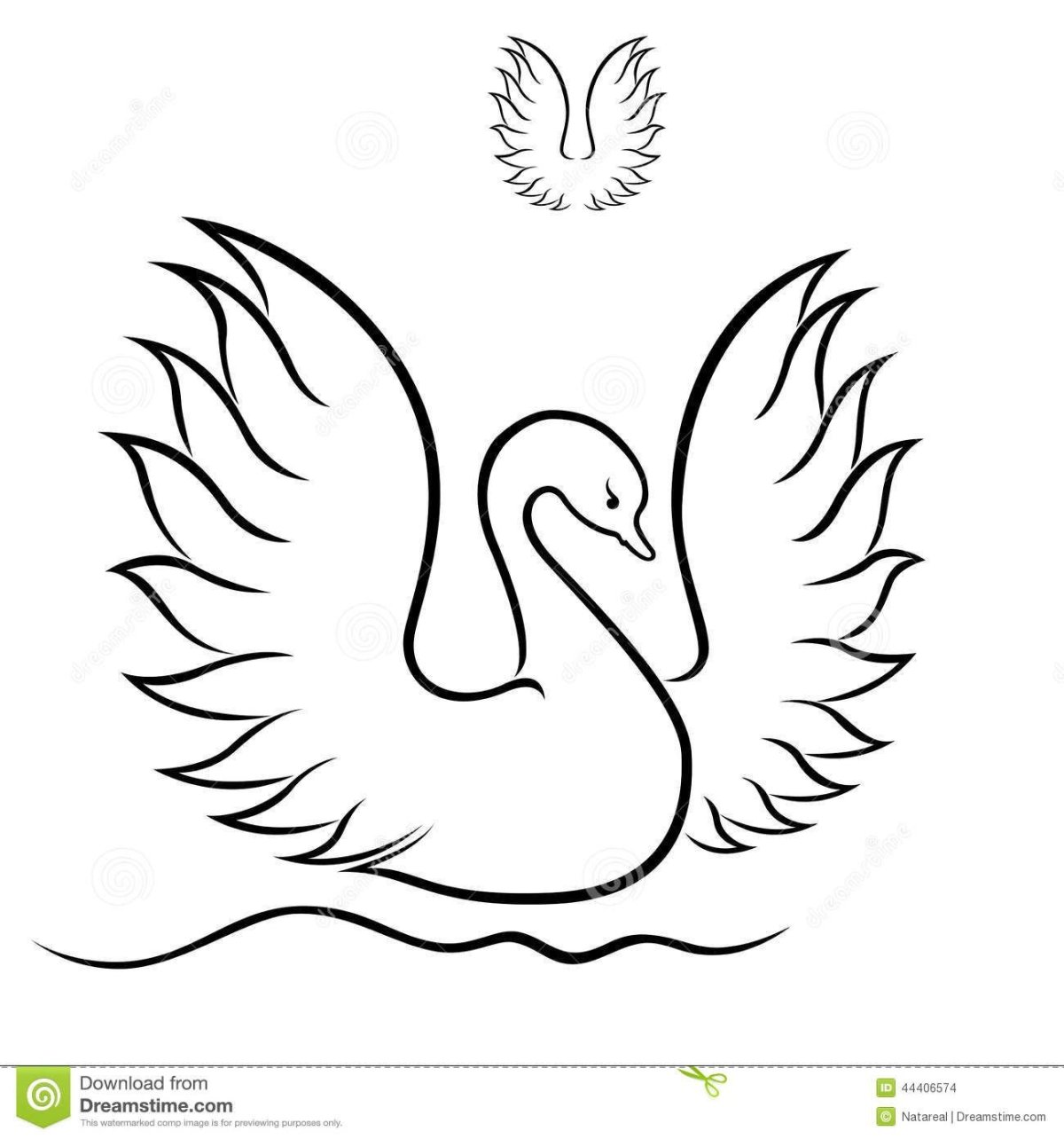 Лебедь с расправленными крыльями