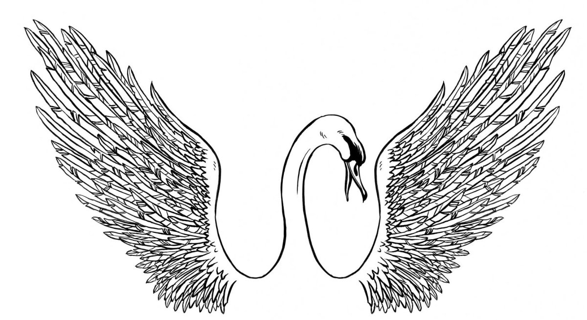 Лебедь с расправленными крыльями рисунок