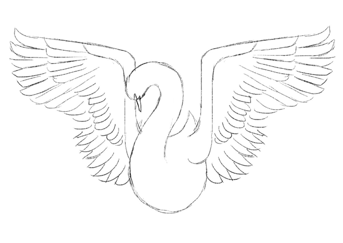 Нарисовать лебедя карандашом