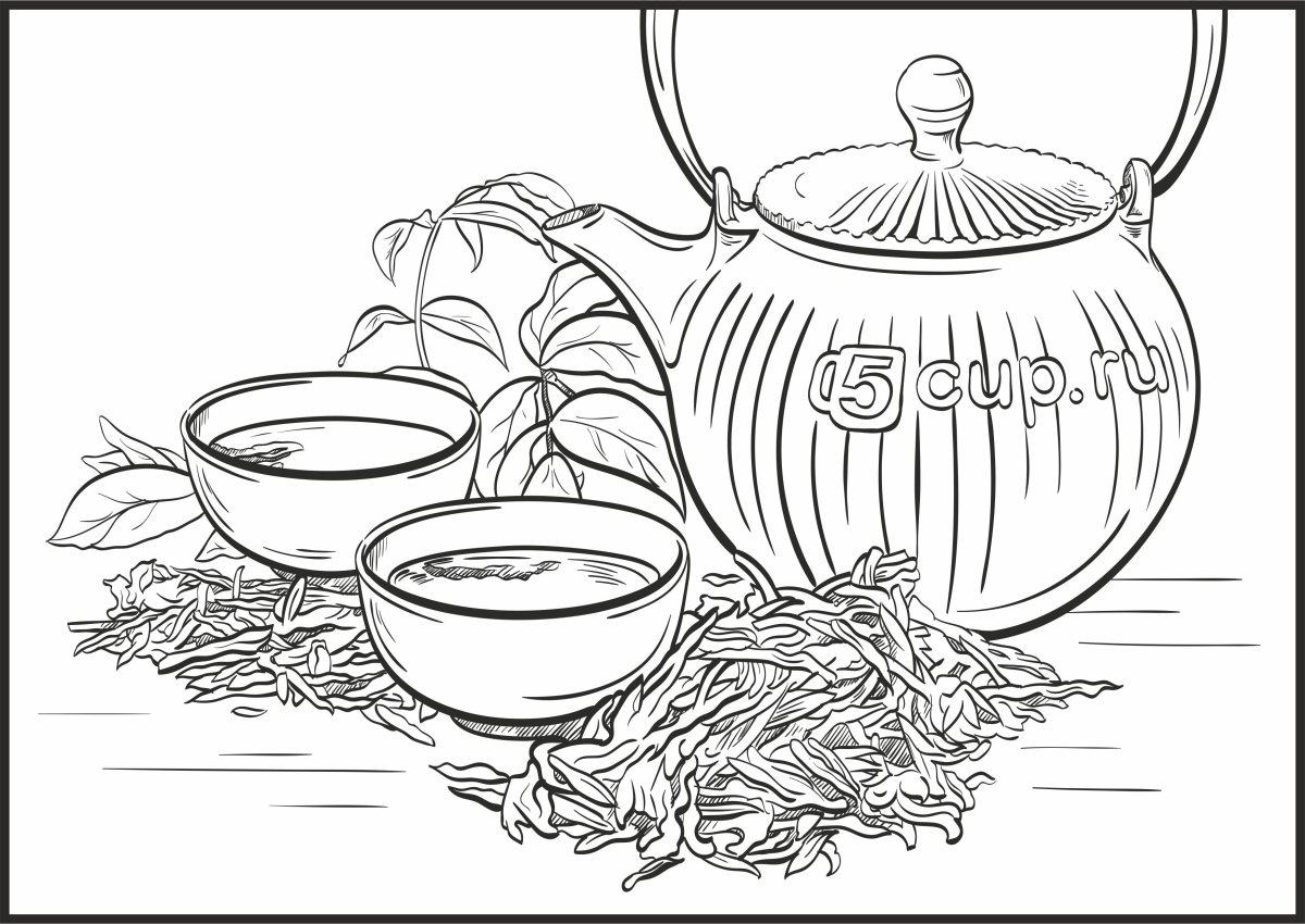 Иван чай раскраска