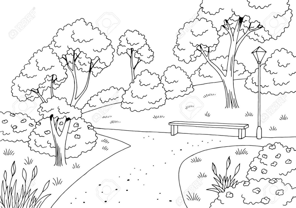 Раскраска парк