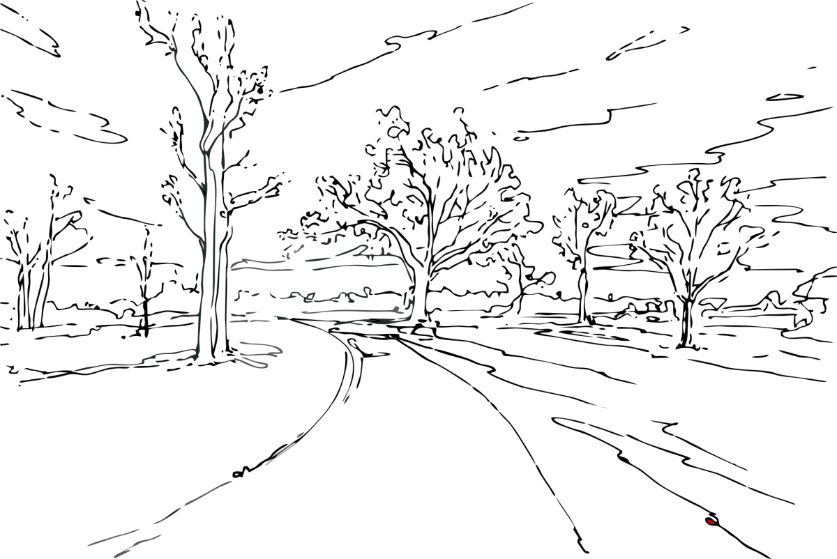 Раскраска Поляна в лесу