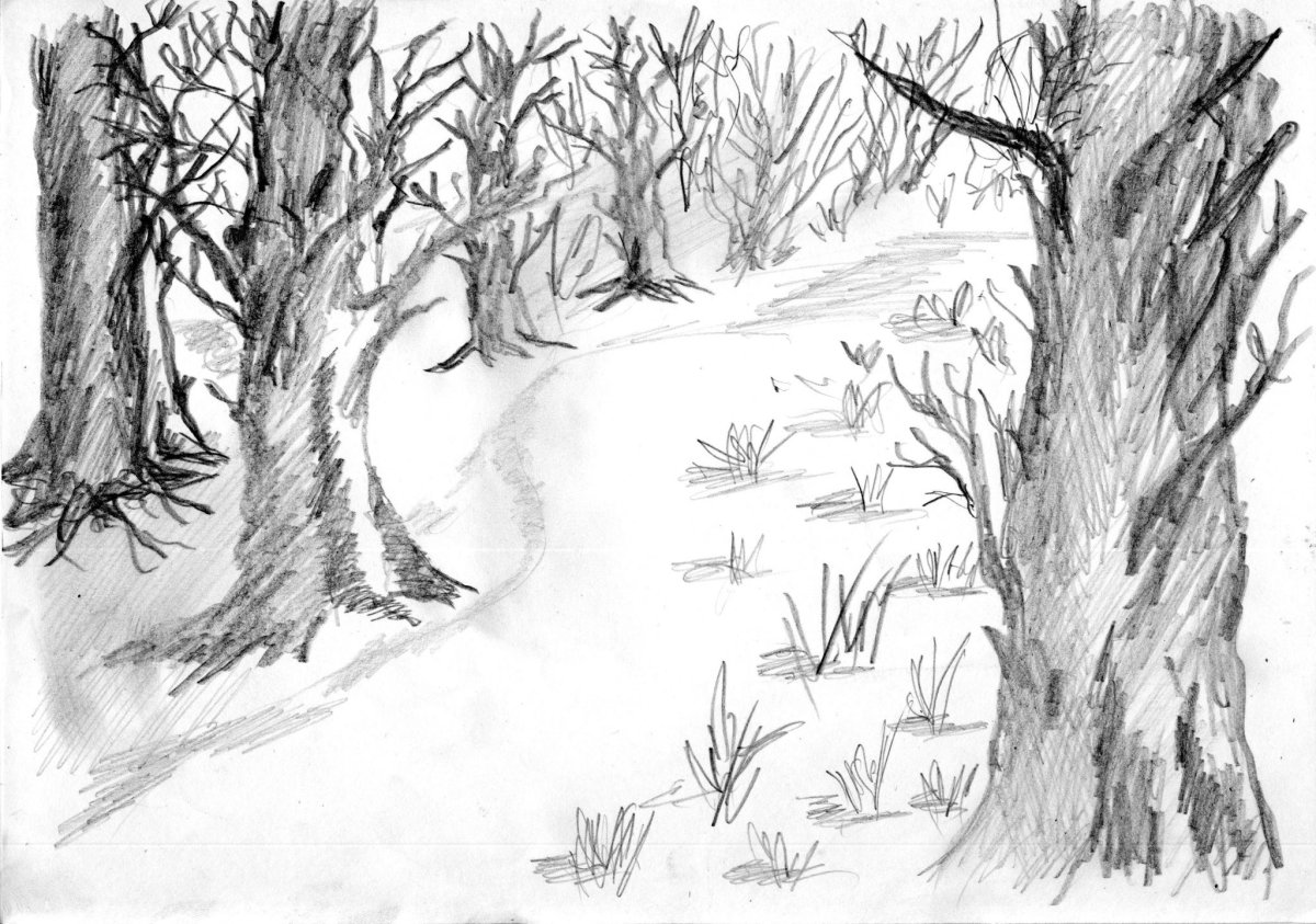 Раскраска сказочный лес для детей