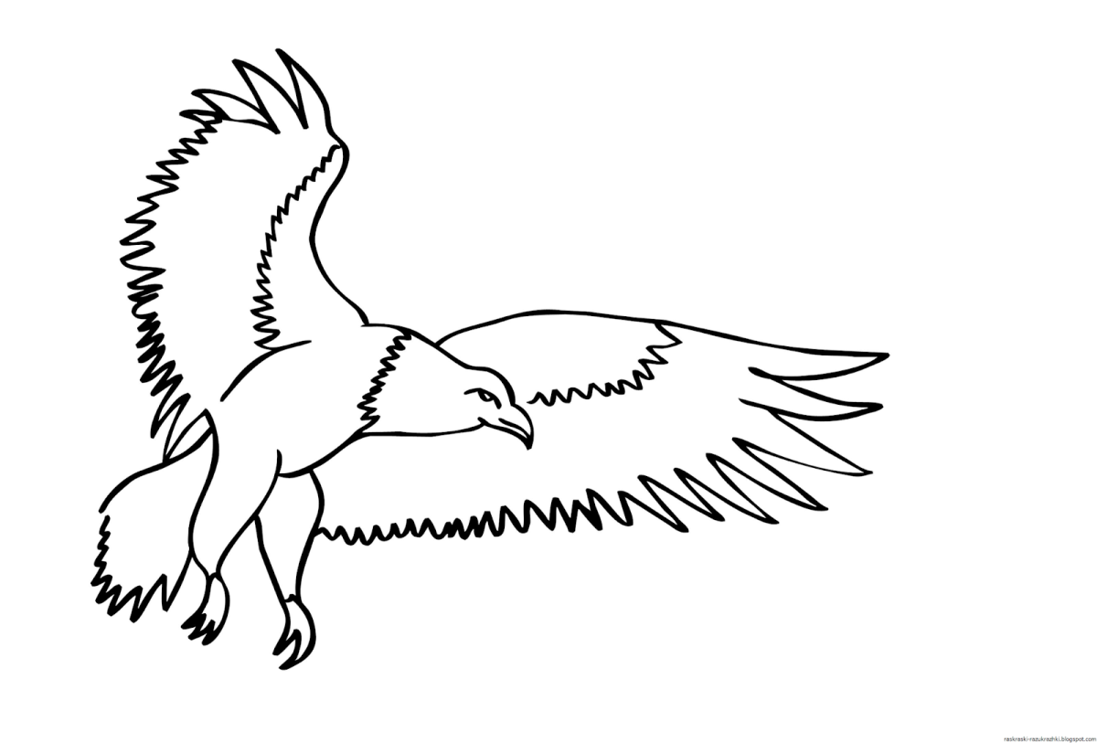 Орел для раскрашивания