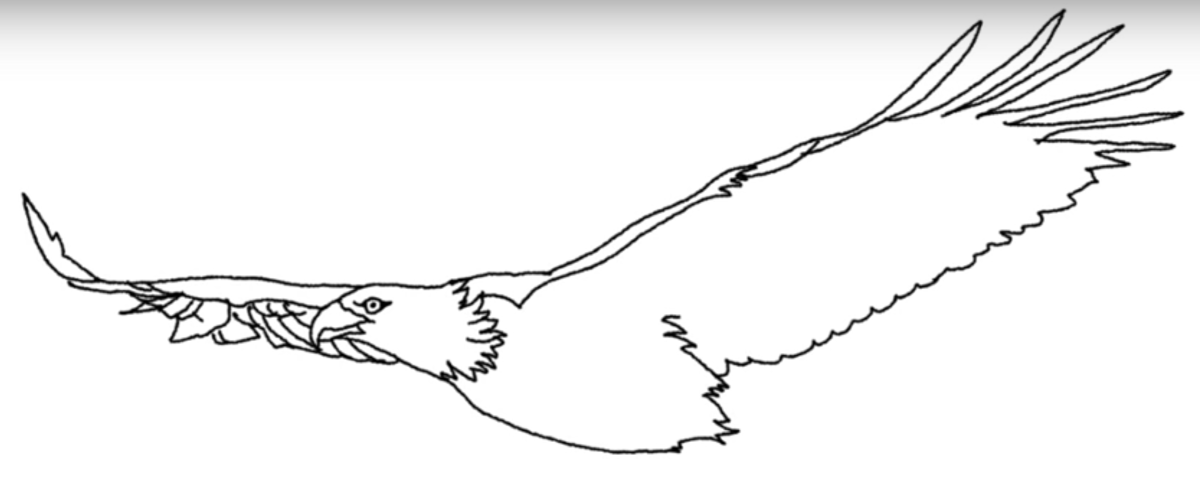 Горные птицы раскраска