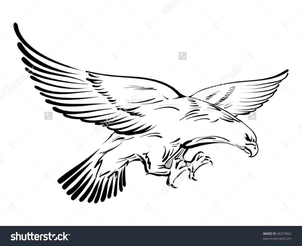 Степной Орел карандашом