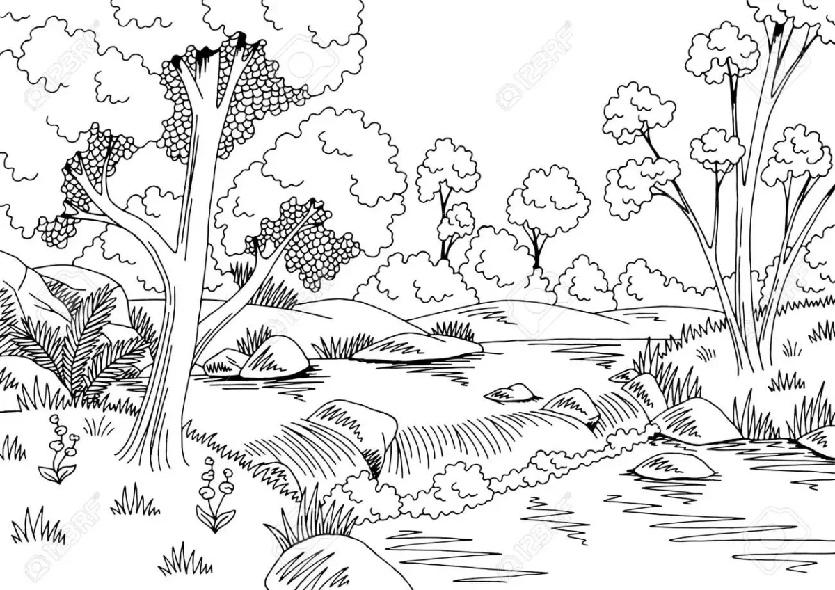 Лес поля река пейзаж вектор чб