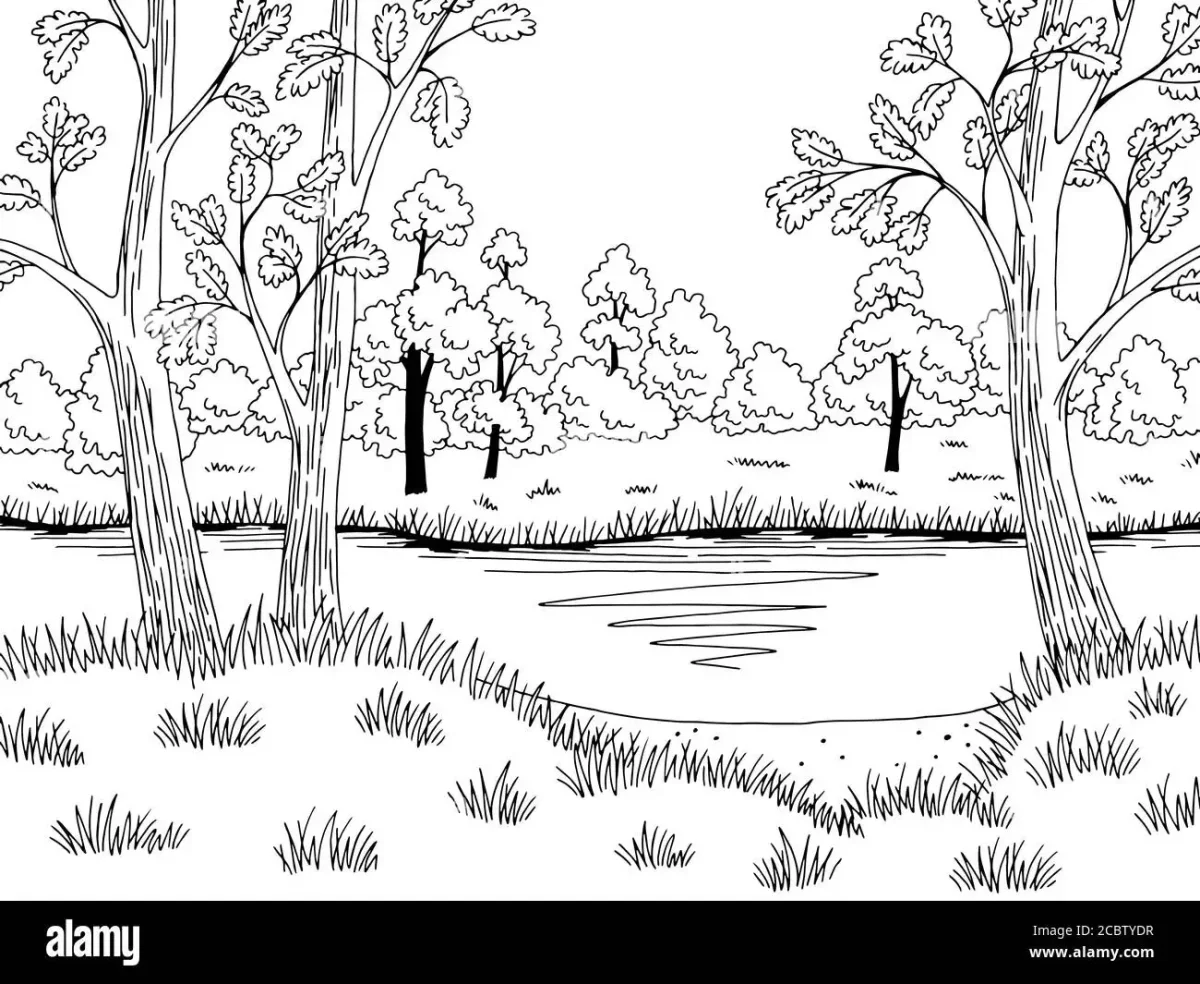 Раскраска лес и пруд