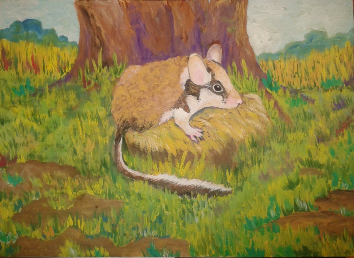 Как нарисовать садовую Соню