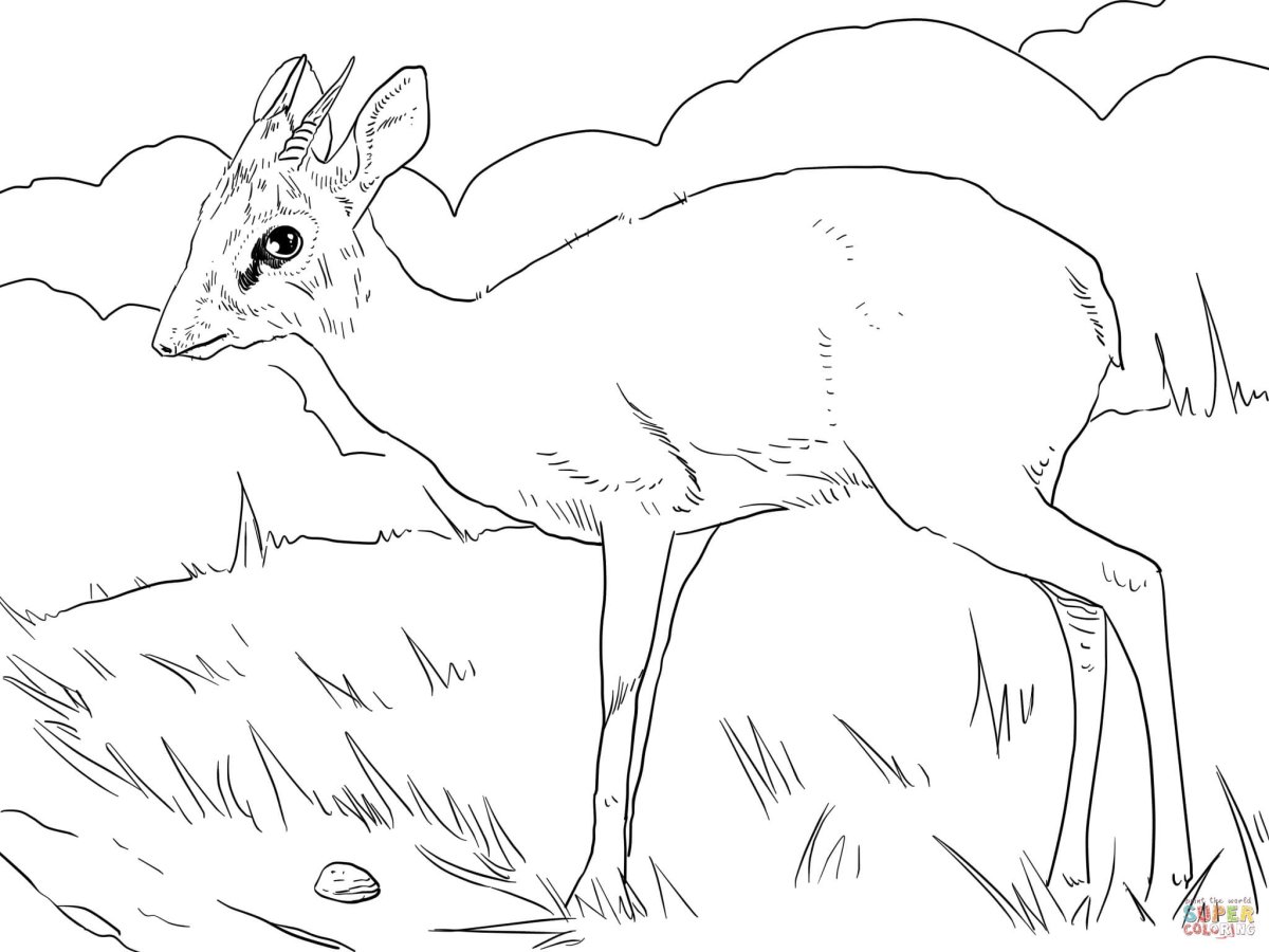 Степь раскраска для детей