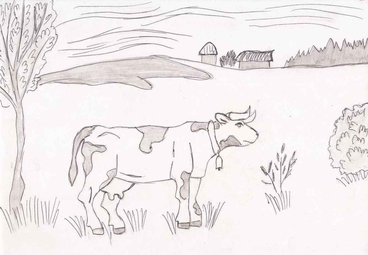 Раскраска пустыня для детей