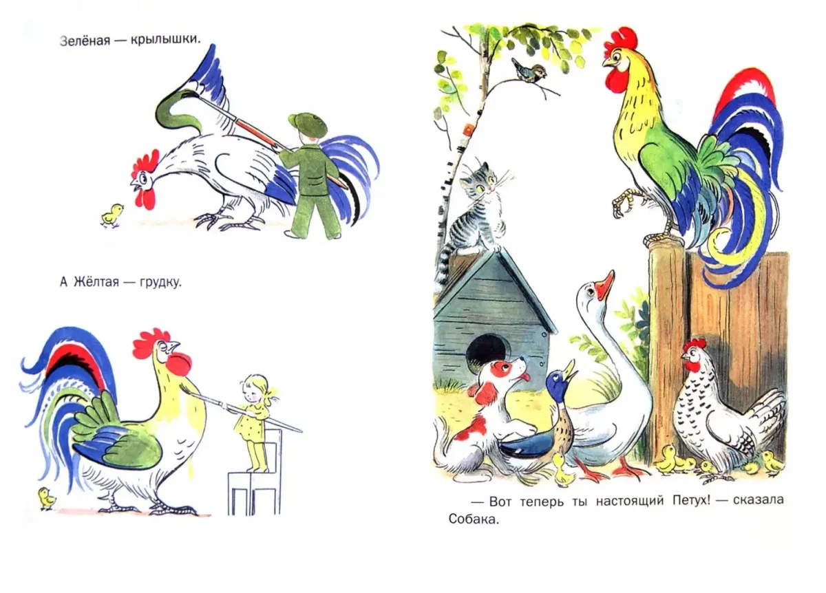 Курица и петух раскраска