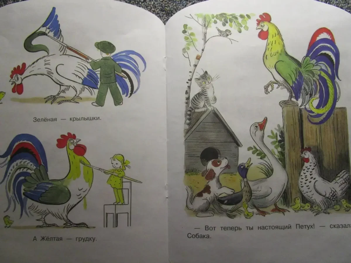 Петух раскраска