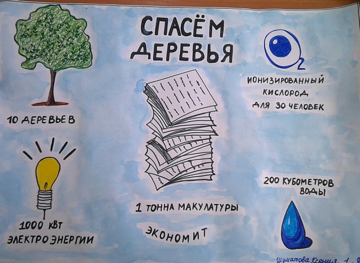 Сбор макулатуры дерево