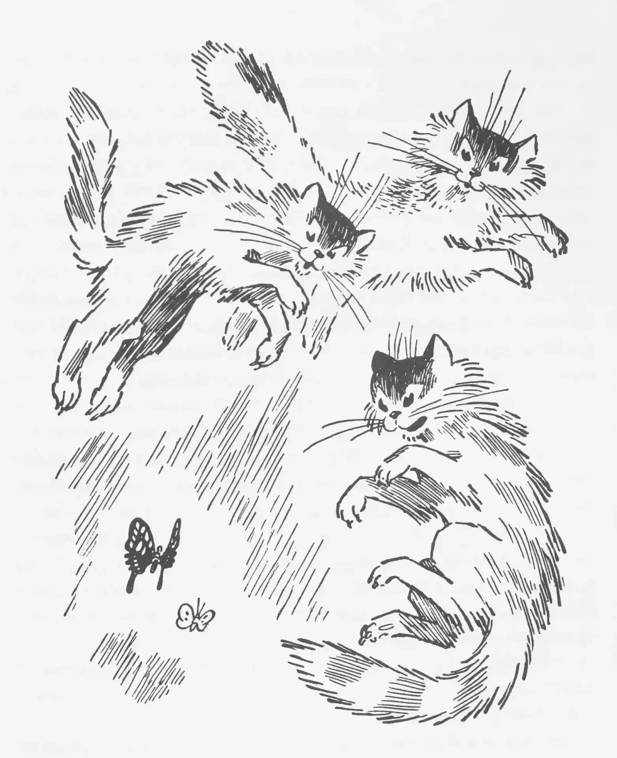 Разукрашки зимующие птицы синица