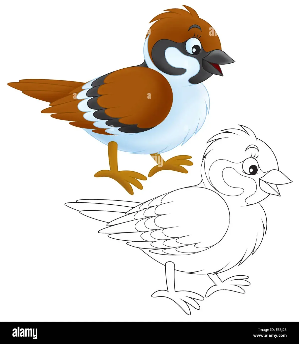 Птицы России раскраска