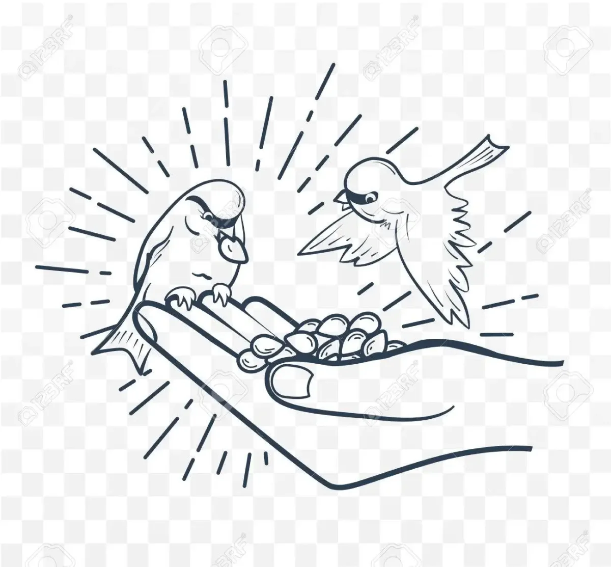 Цыпленок черно белый