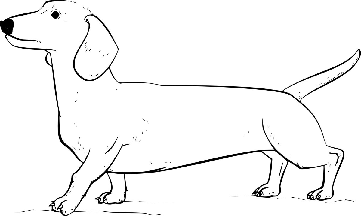 Силуэт левретки