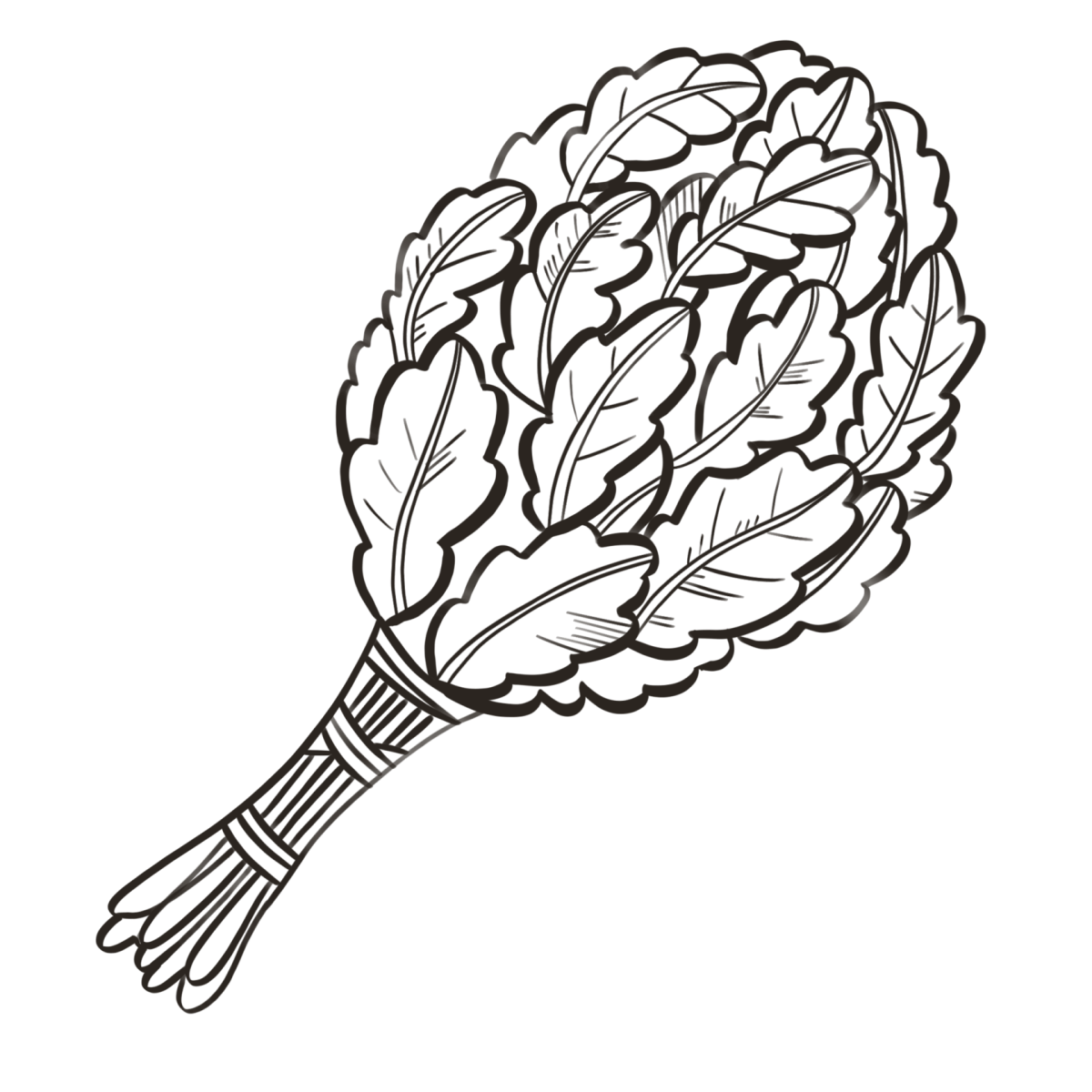 Дубовый веник вектор