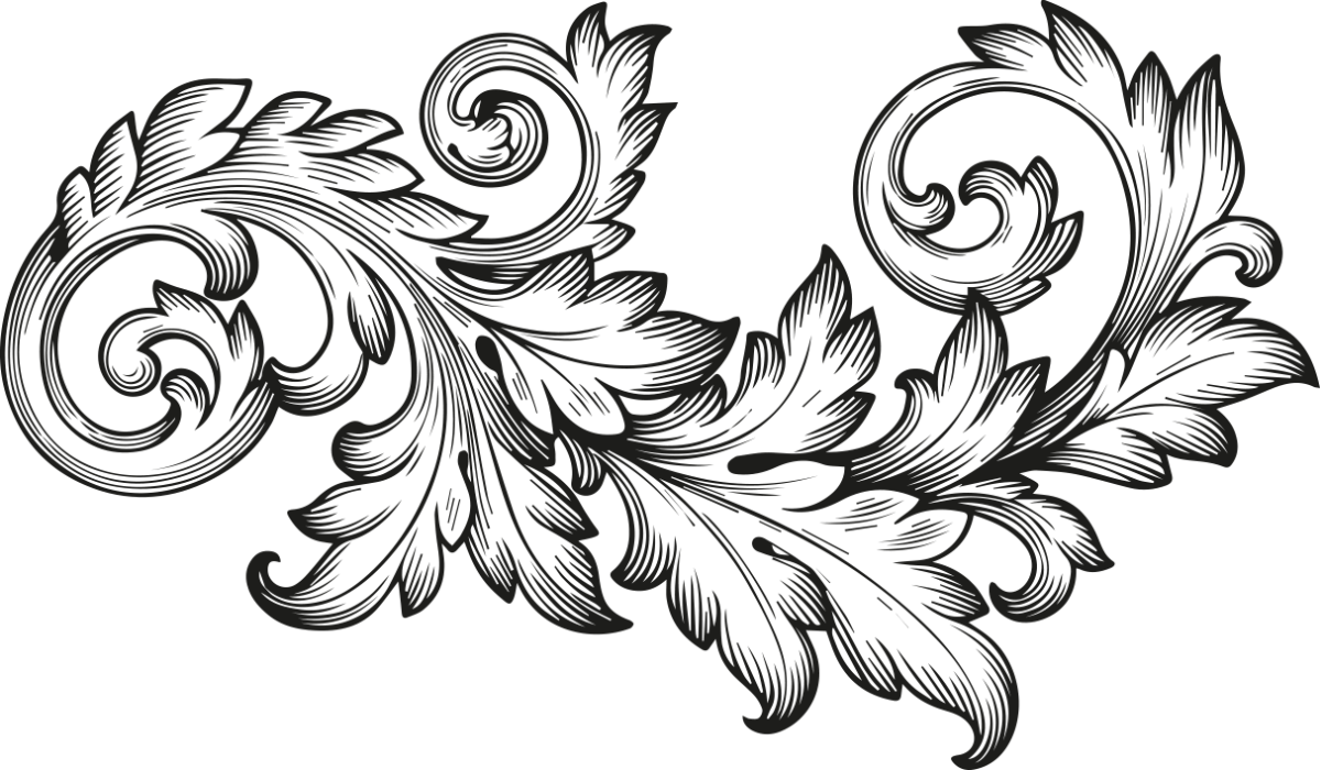 Акант орнамент вектор