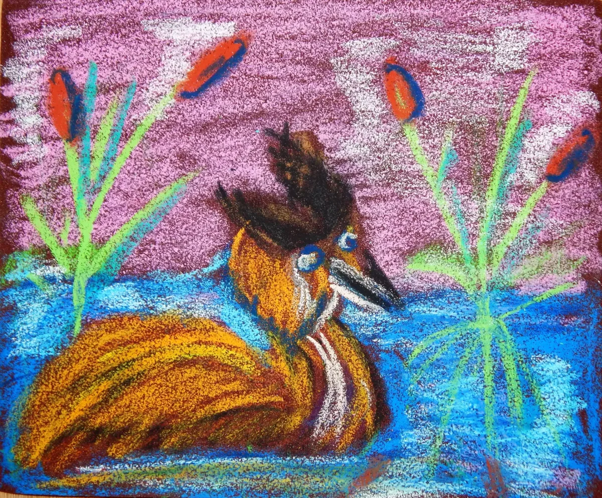 Красношейная поганка рисунок