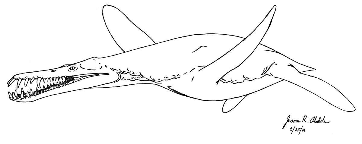 Раскраски динозавры Мозазавр