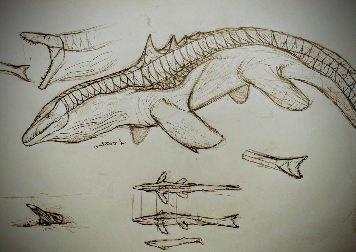 Мозазавр референс