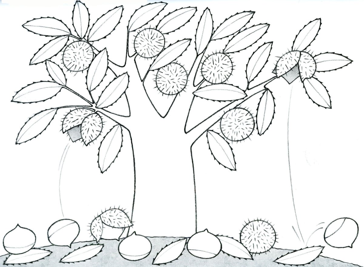 Раскраска осень для детей 3-4 лет