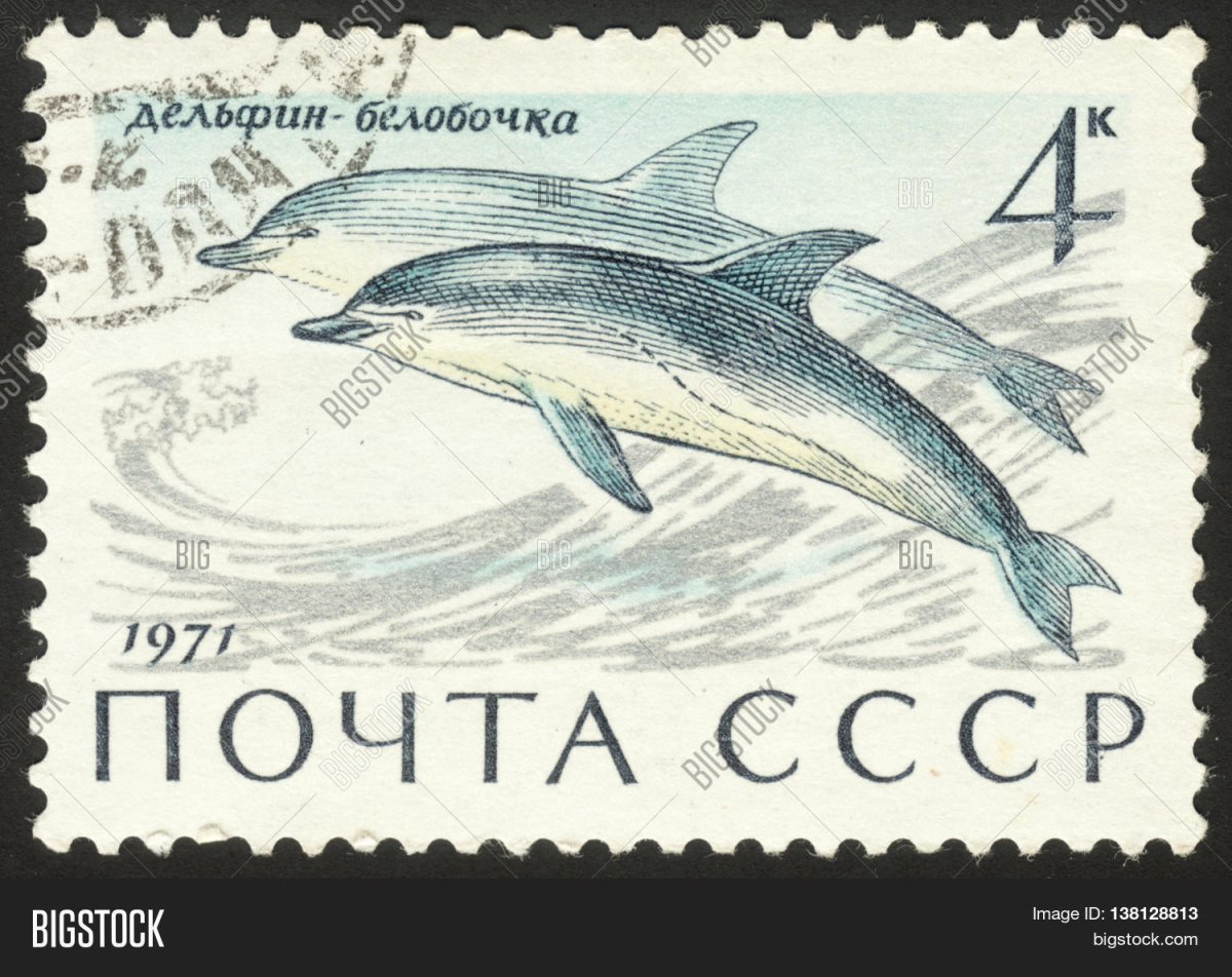 Марки с бабочками чб