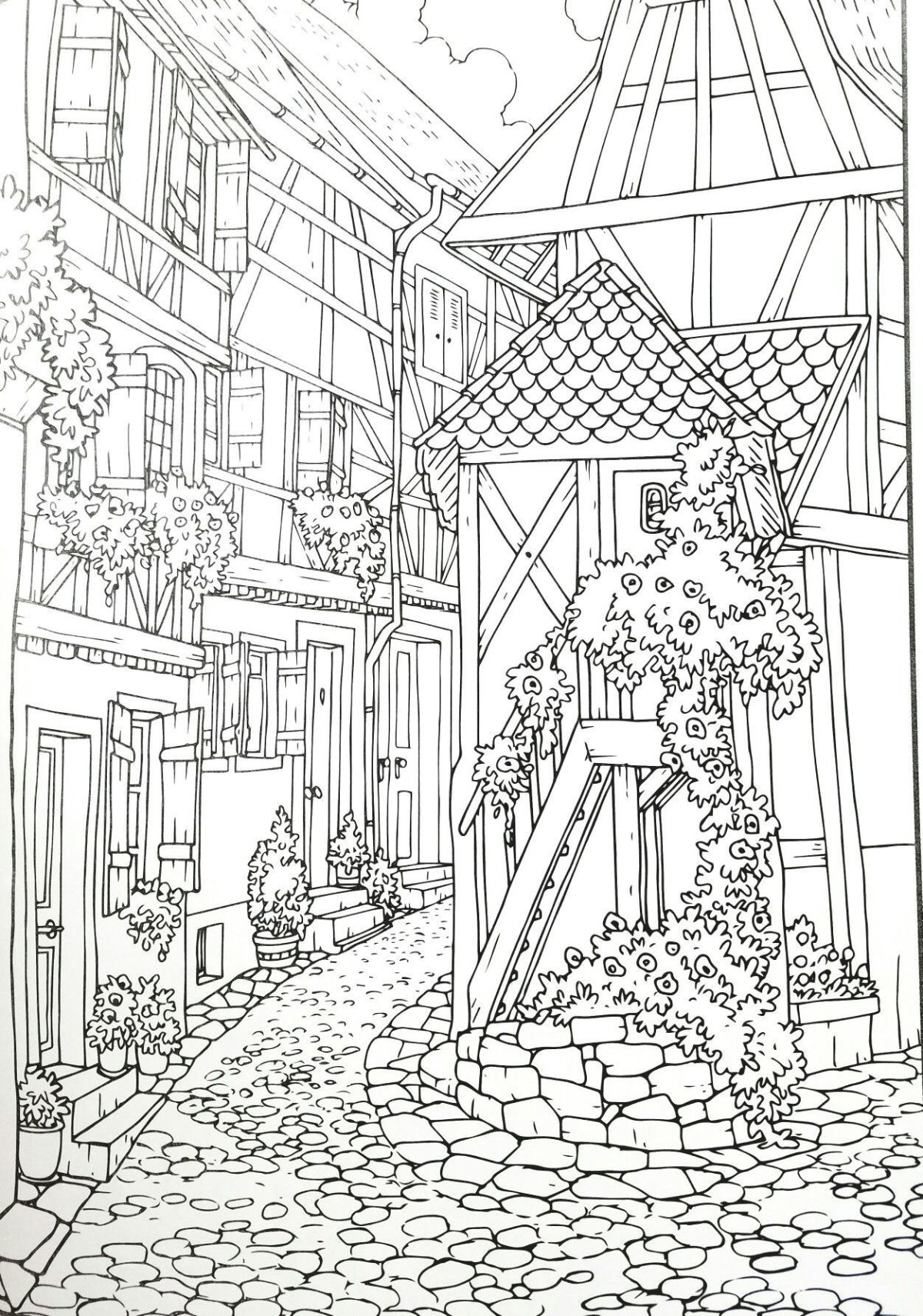 Раскраски пейзаж сложные