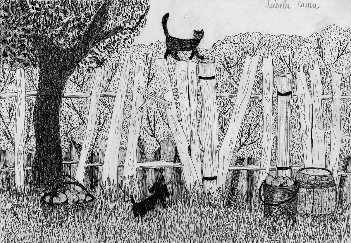 Кот ворюга рисунок для читательского дневника