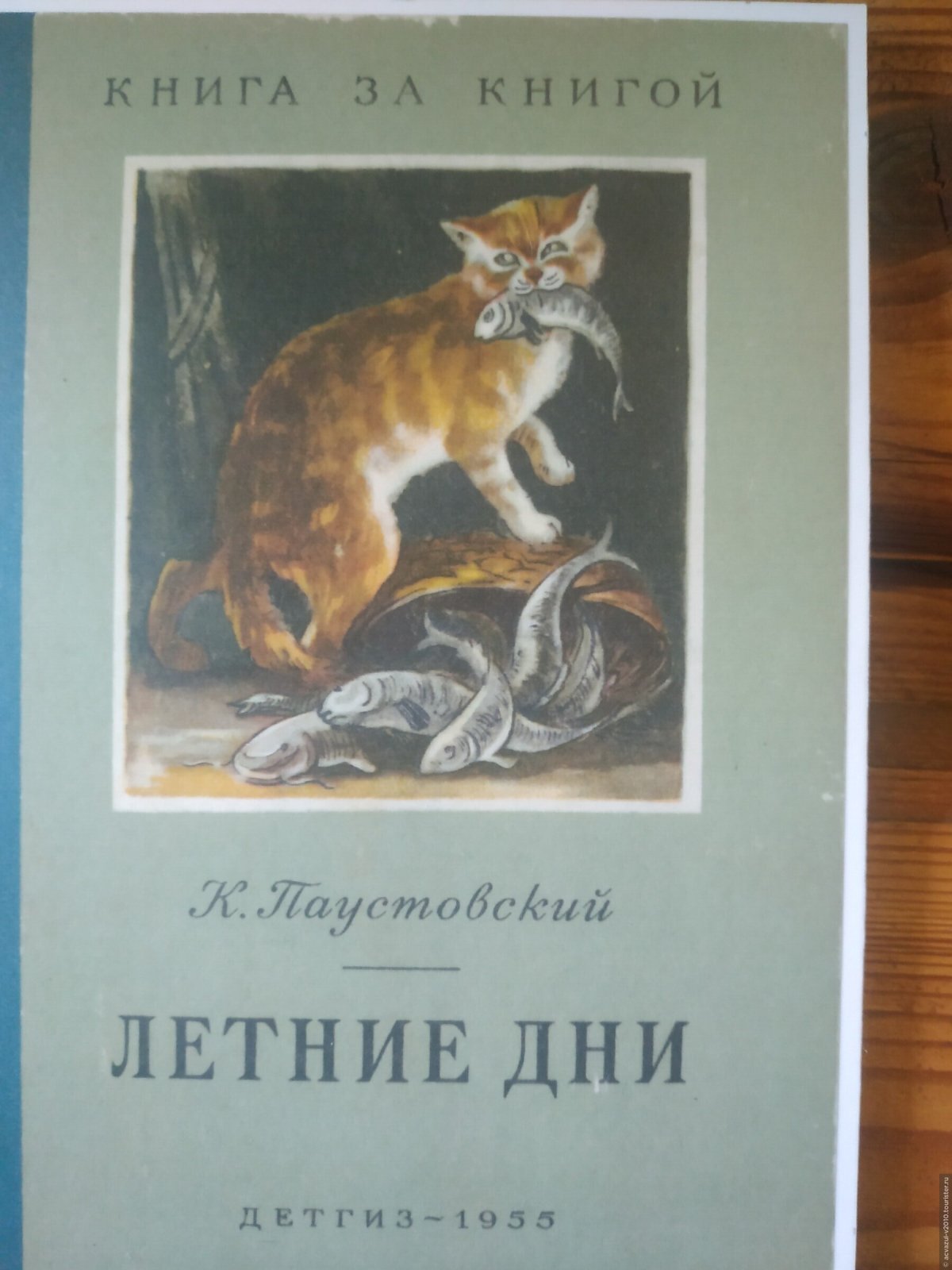 Книга кот ворюга Паустовский