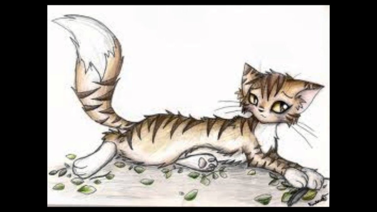 Рисунок кошки для раскрашивания