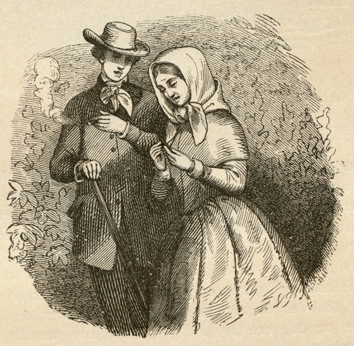 Повар Векторная Графика