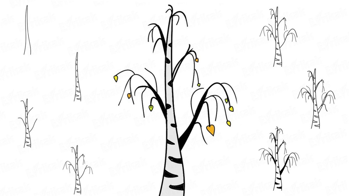 Ветка березы Графика